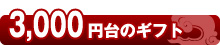 3,000円台のギフト